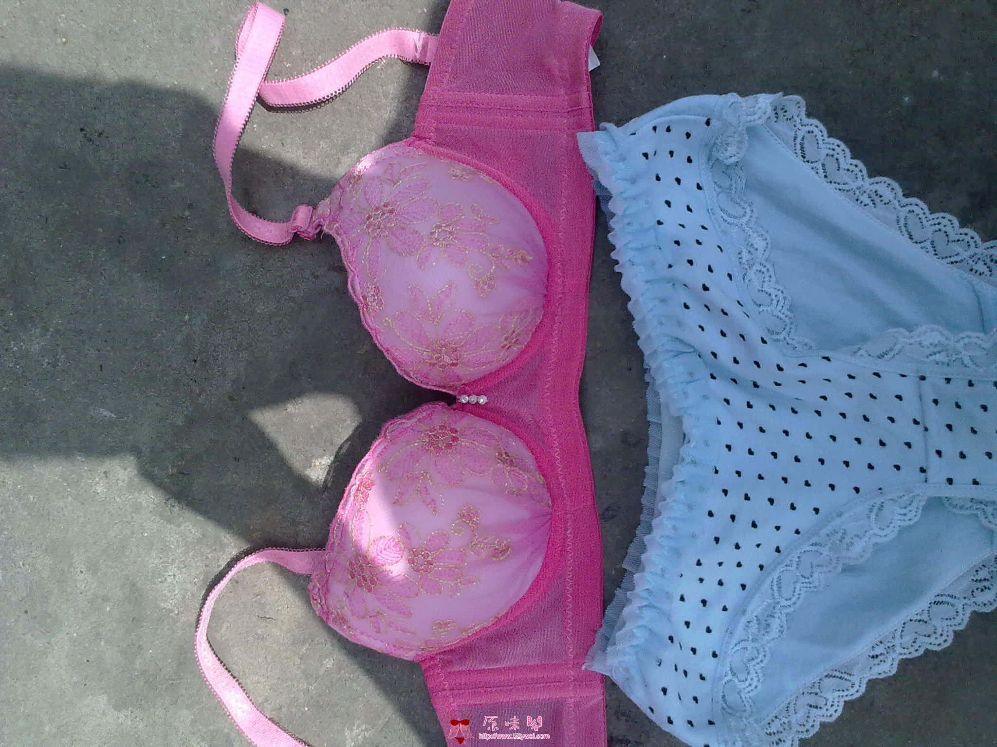 20100920127.jpg