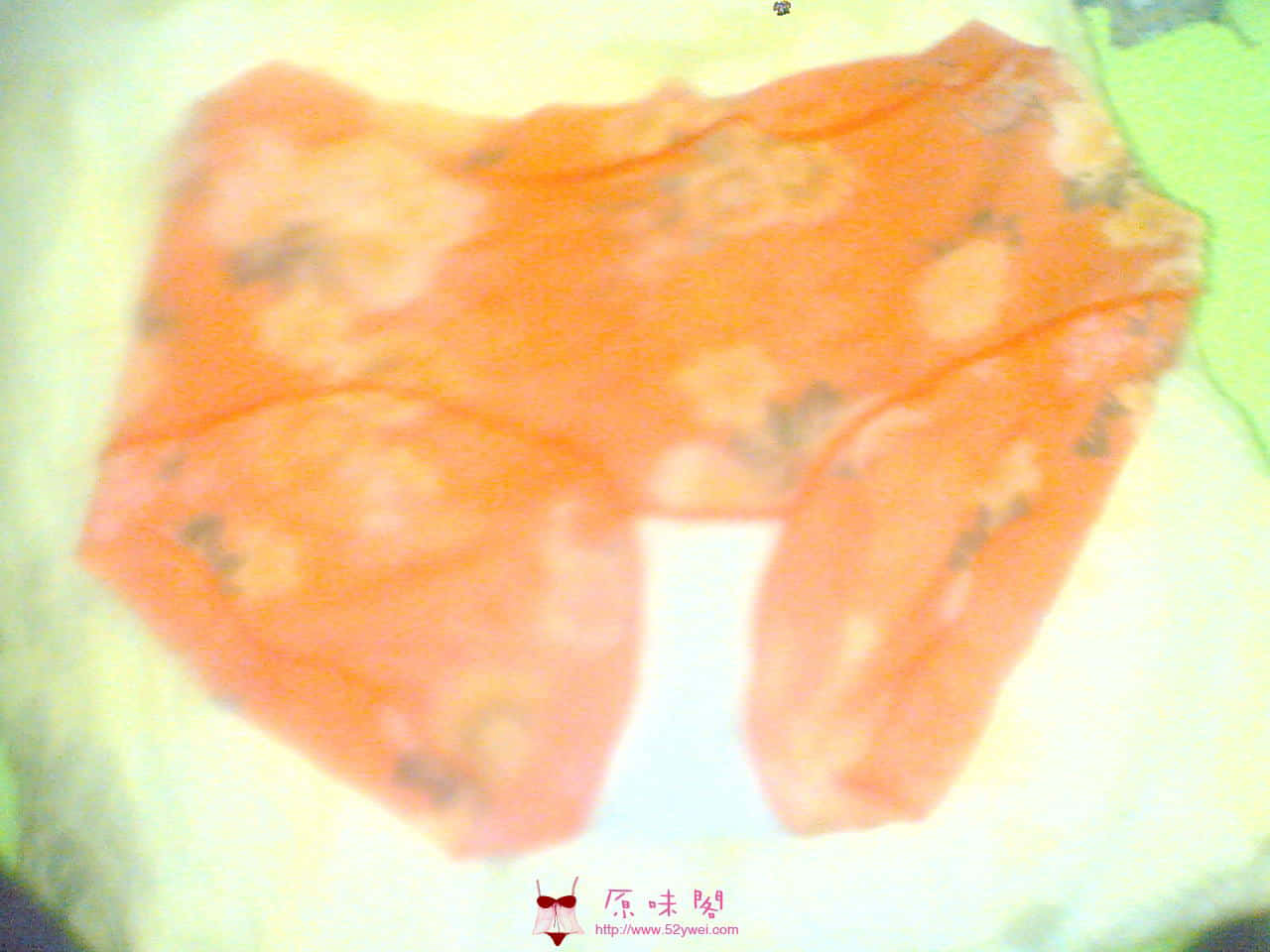 20100719.jpg