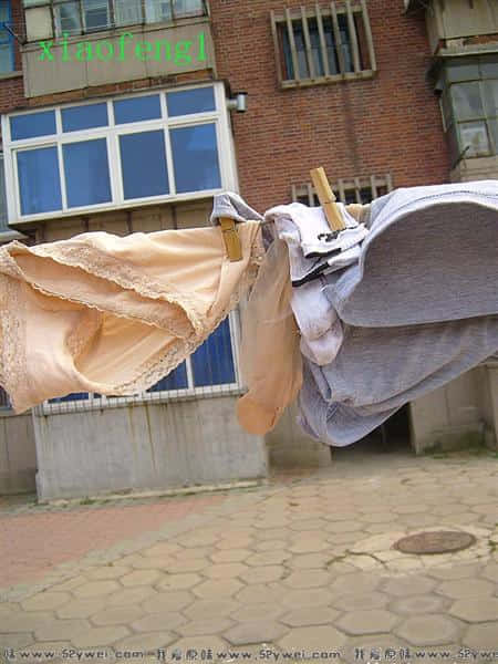 S7007794_1199774499.jpg