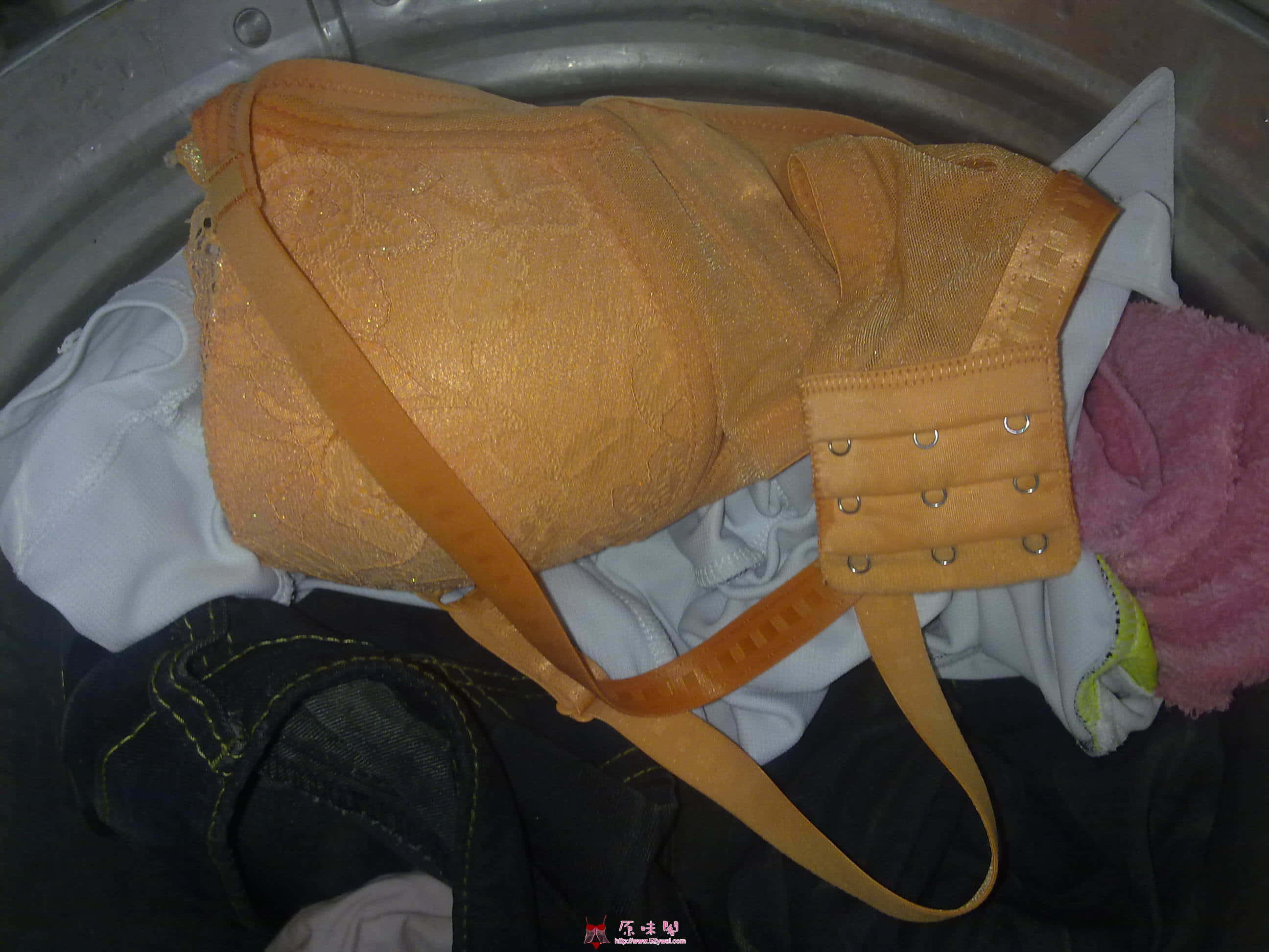 20100529181.jpg