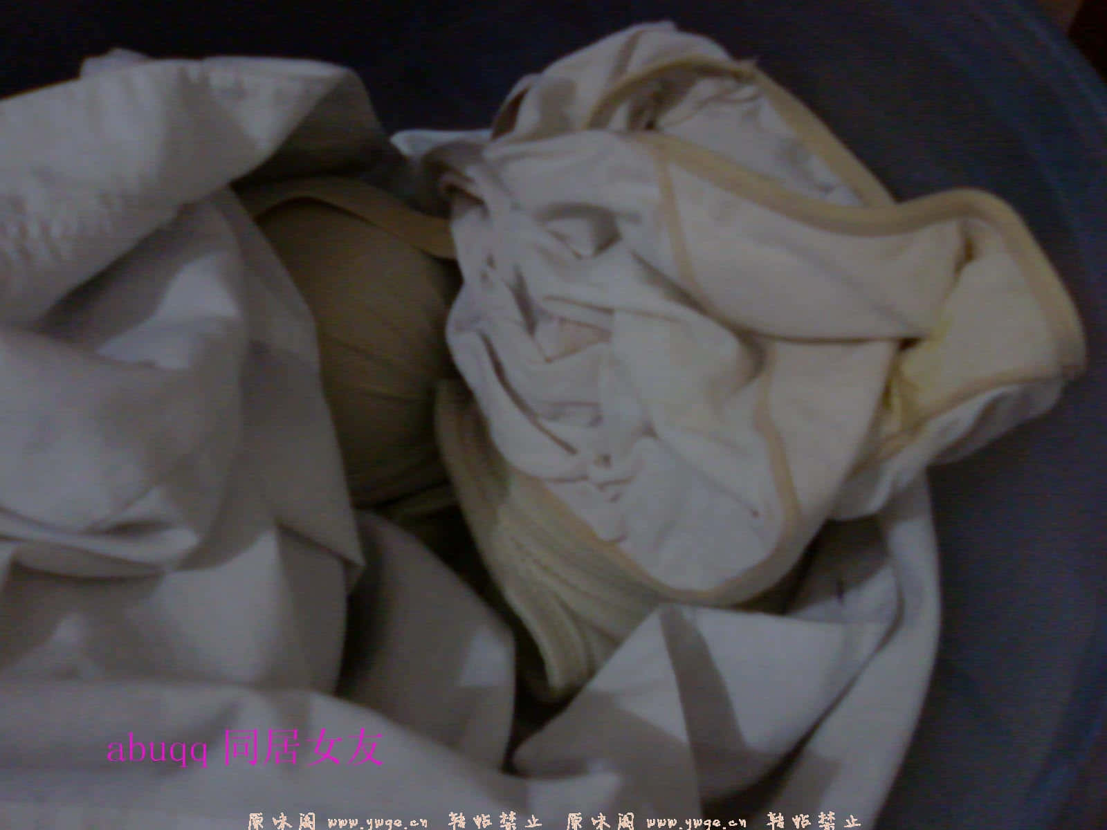bpy20071127-2.jpg