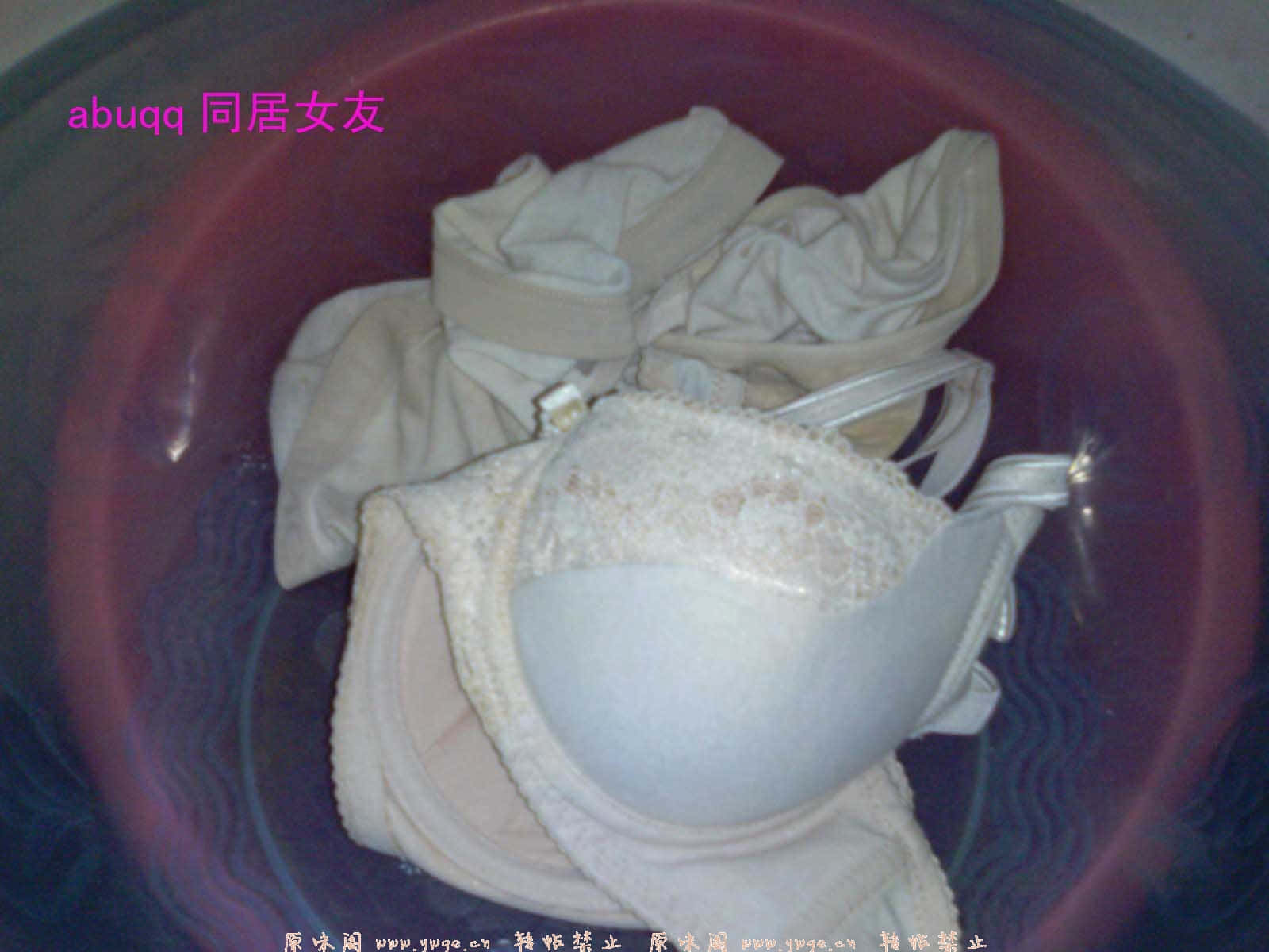 bpyP20071130-03.jpg