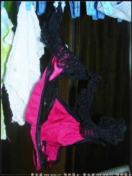 DSCN2055.jpg