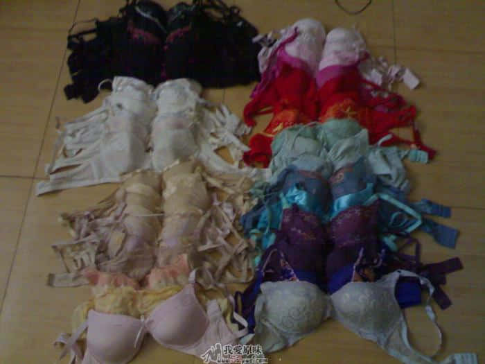 20081025055.jpg