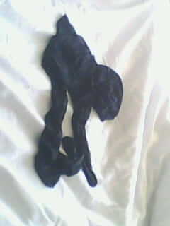 IMG0036A.jpg