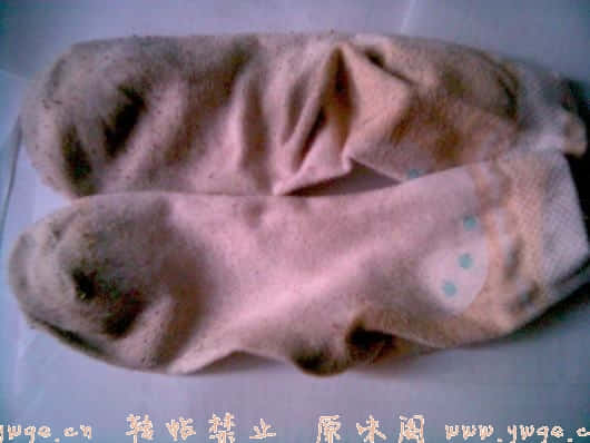 2006102819422168950.jpg