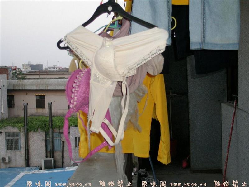 手机店美眉的内内···