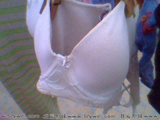 IMG0227A.jpg