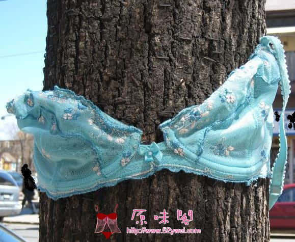 这个漂亮吗.JPG