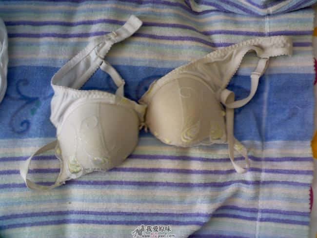 img00172.jpg