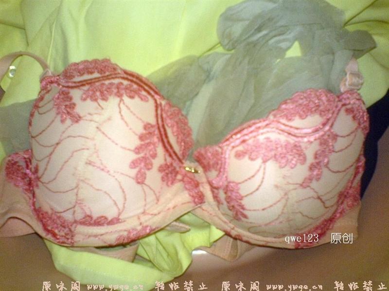 p6.JPG