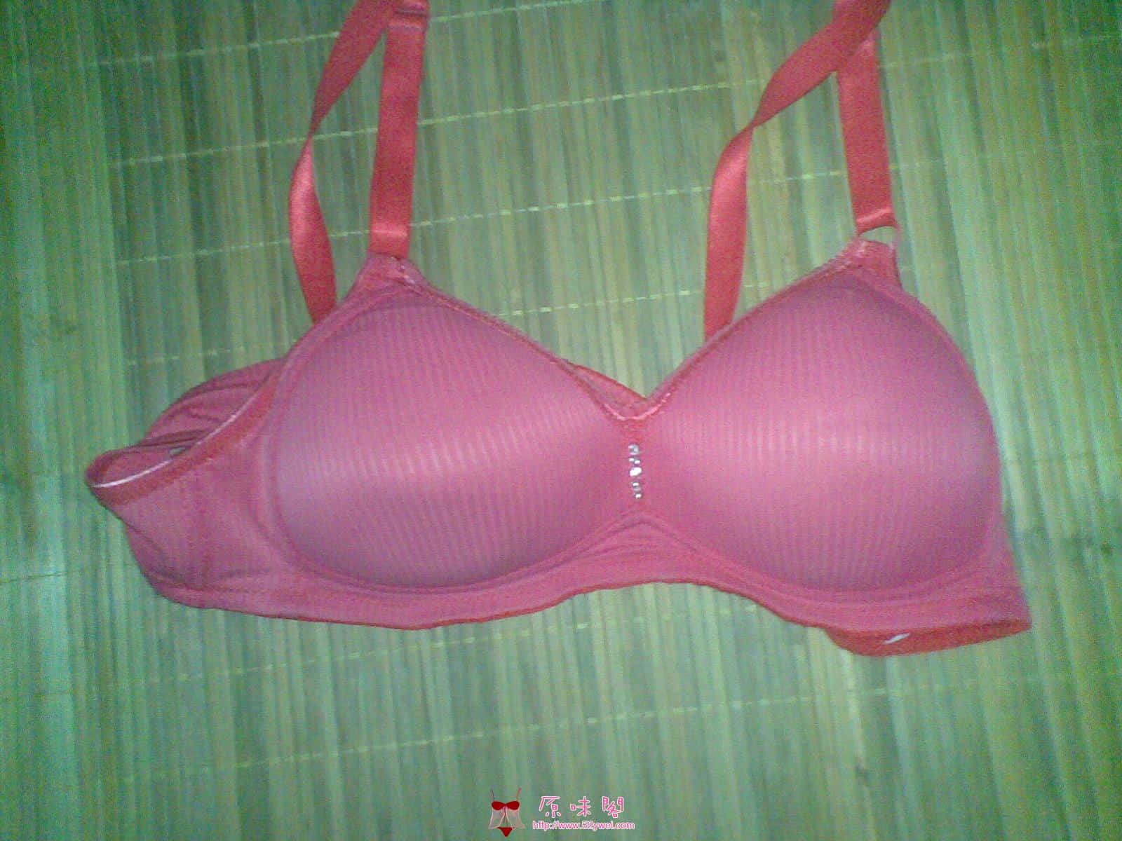20100125_001.jpg