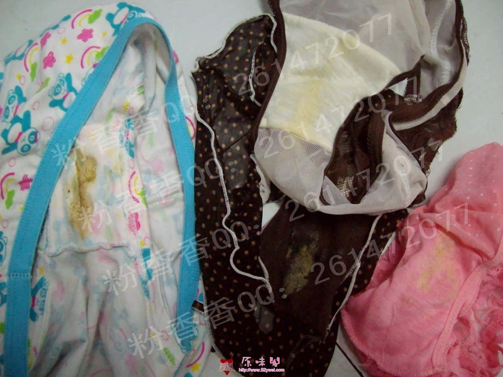 ALIM6897_conew1.jpg