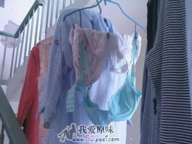 楼道里太危险&nbsp;&nbsp;就拍了一张&nbsp;&nbsp;给大家分享&nbsp;&nbsp;一定要顶