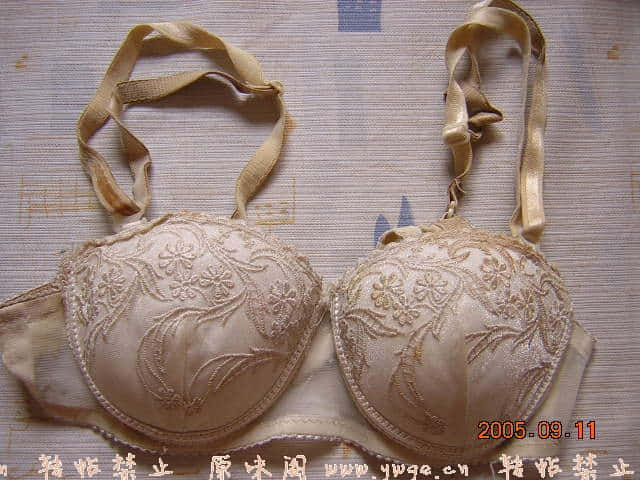 459841620.jpg