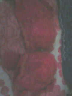 IMG0016A.jpg