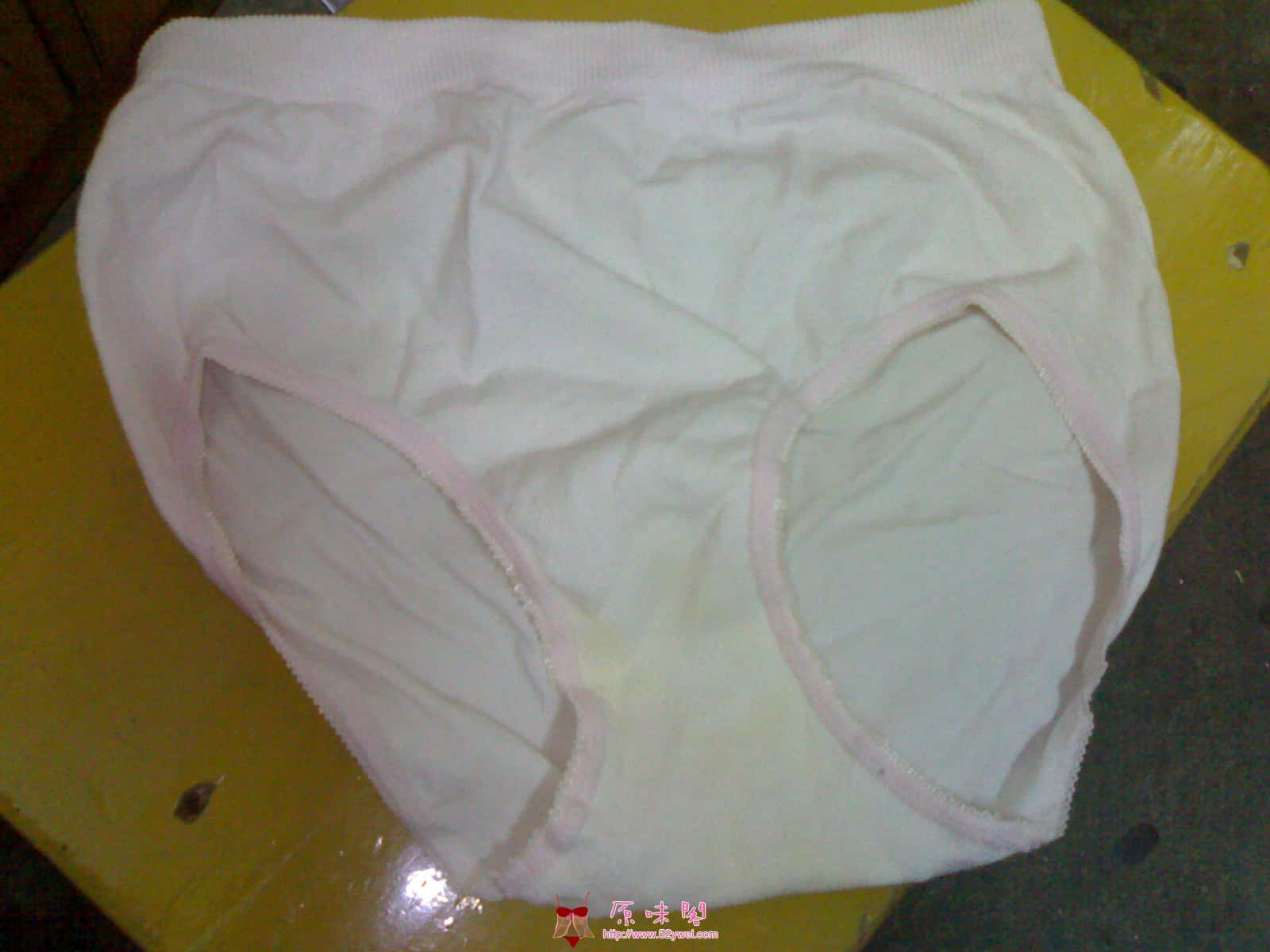 大学女生宿舍顺的第一条