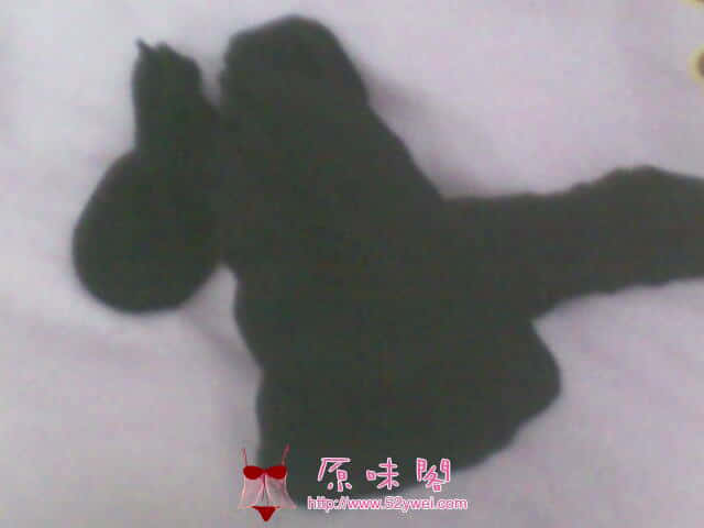 IMG0142A.jpg