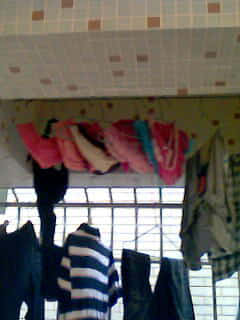 IMG1420A.jpg