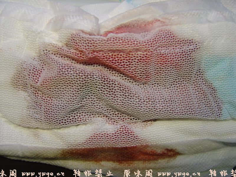DSC09457_缩小大小.jpg