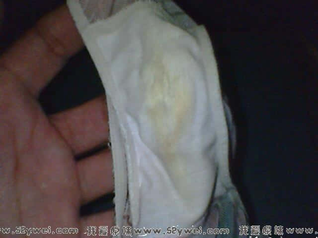 IMG2126A.jpg