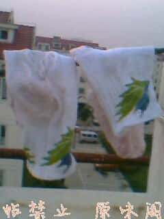 IMG0100A.jpg