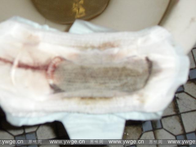 STA41384.JPG