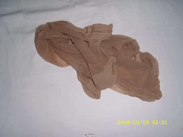 SL272067.JPG