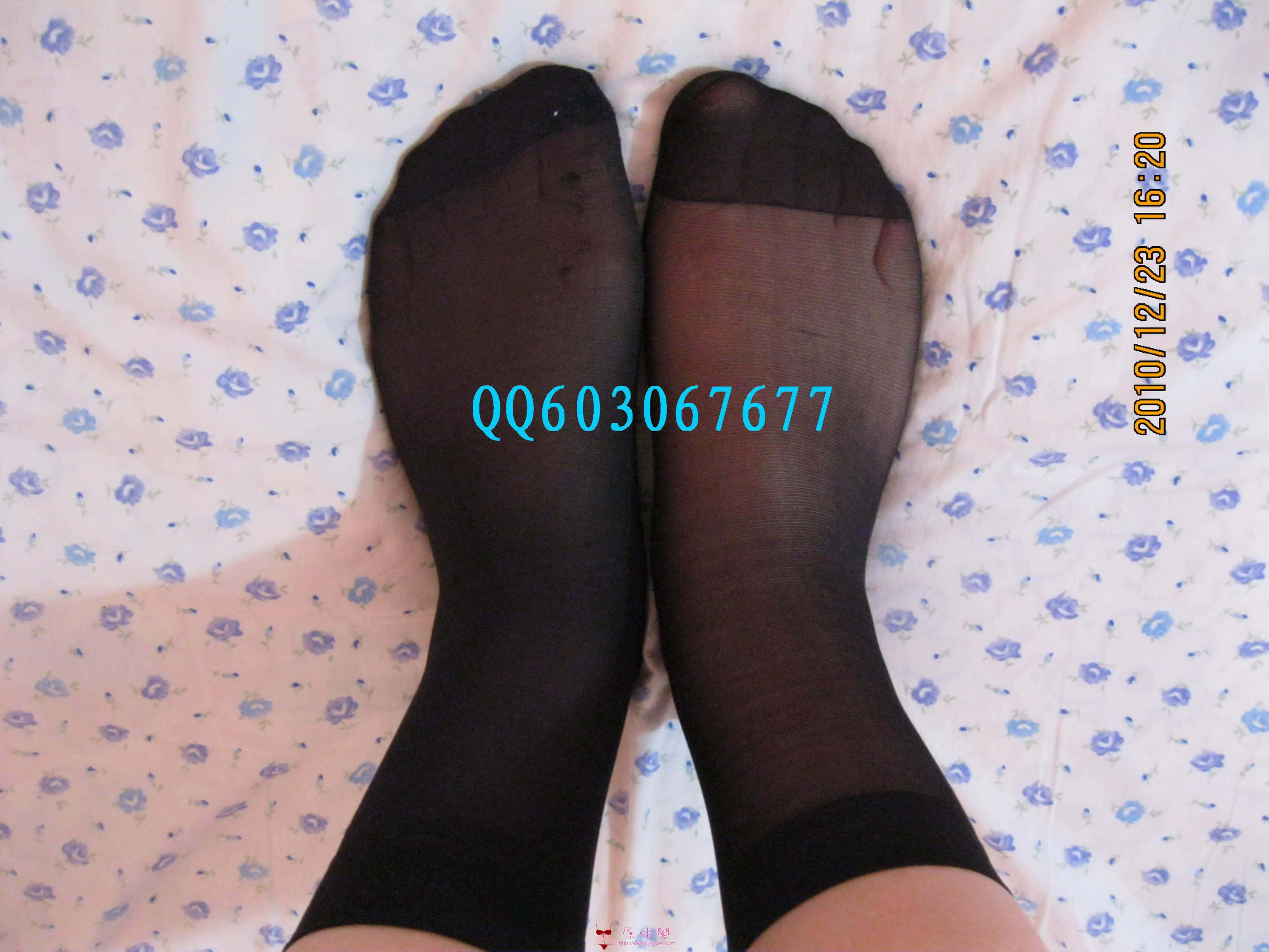 照片 006.jpg