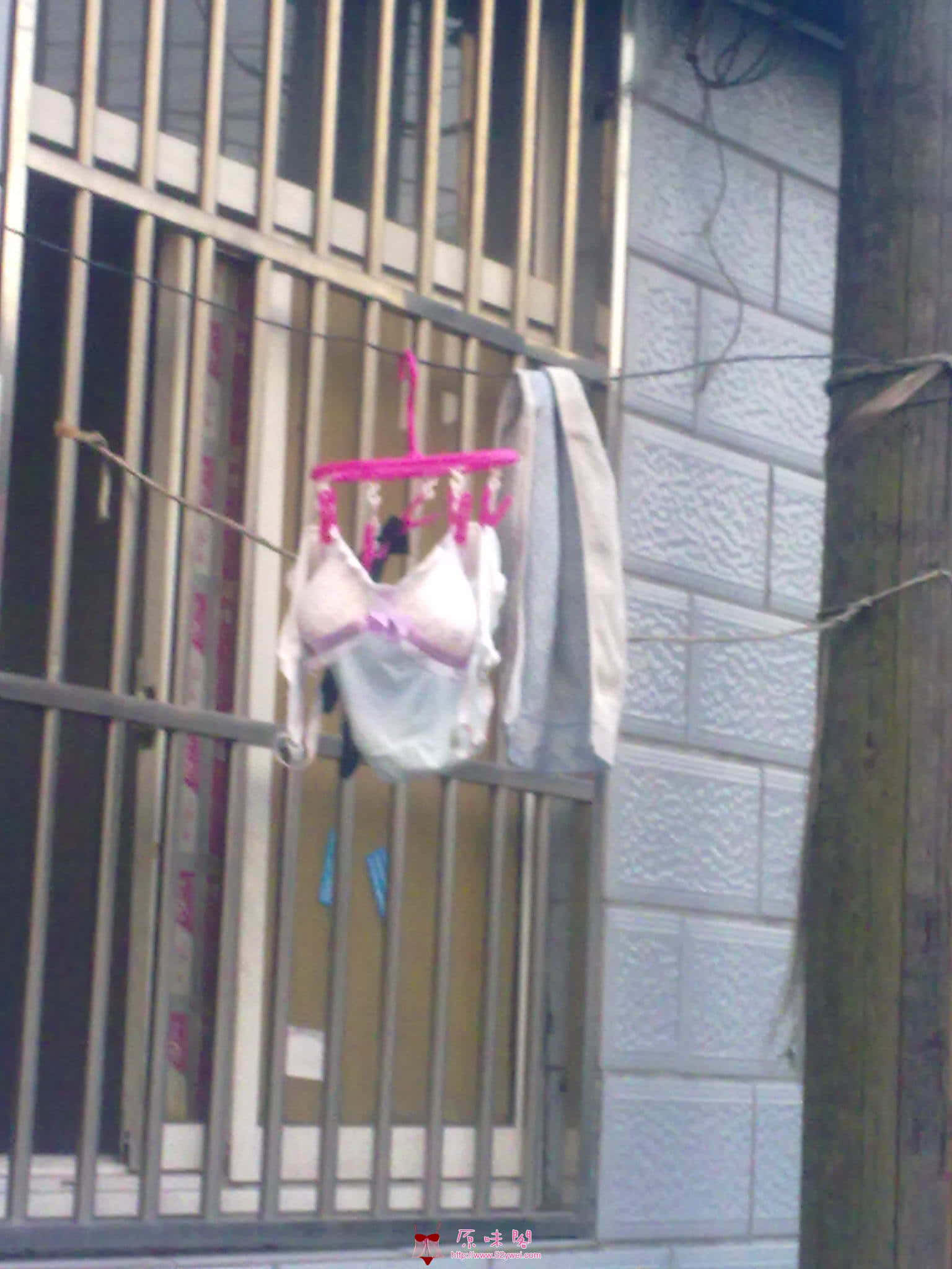 20100524027.jpg