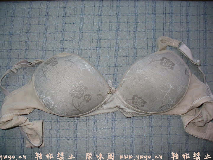 P1030220(1).JPG