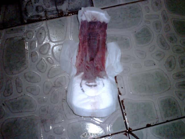 IMG0295A.jpg