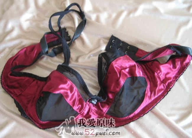 紫红色的罩罩1.jpg
