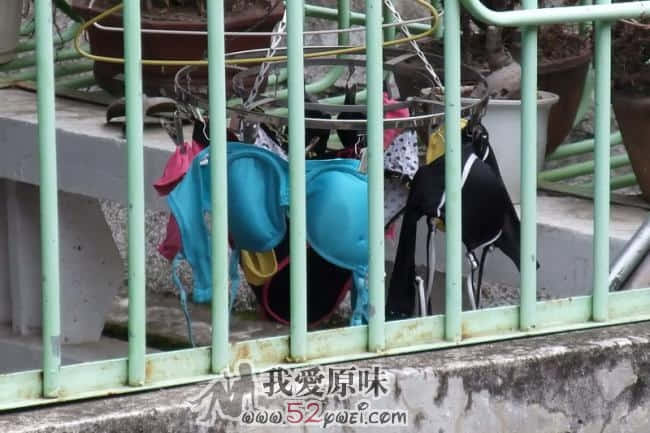 要不是中间还隔着一家人，这可是下手的好位置啊。。。遗憾中