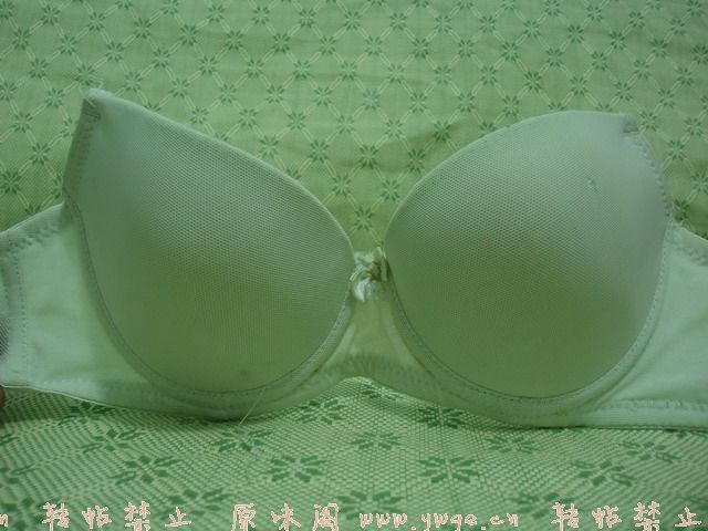 P7190008.jpg