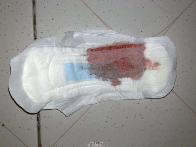 20090513306.jpg
