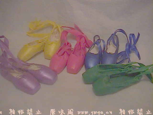 Dsc00104.jpg