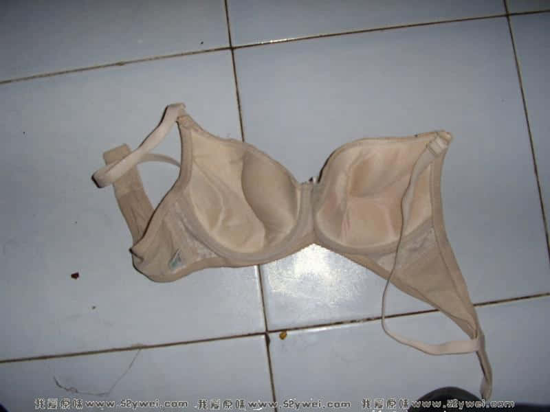STA40862.jpg