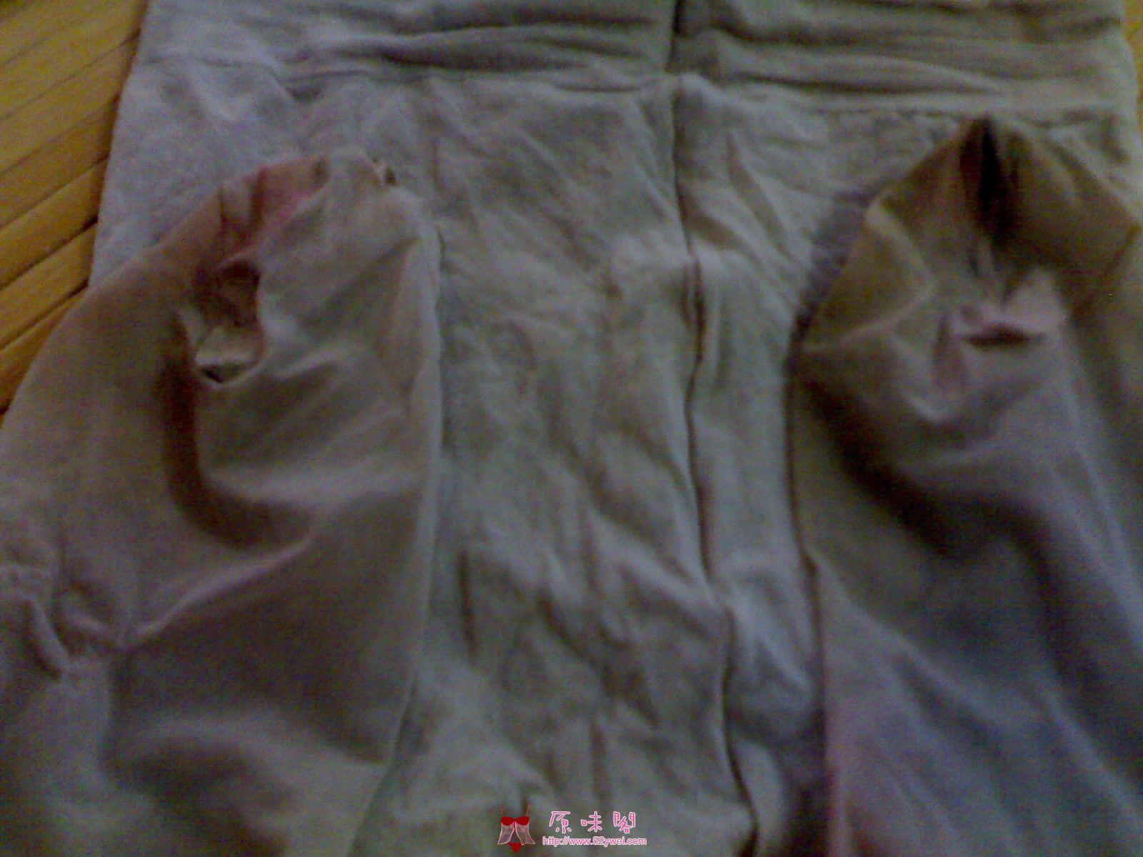 20100628541.jpg