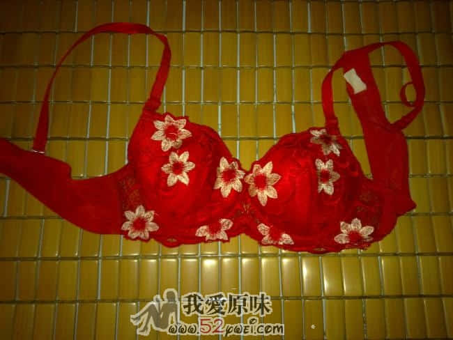 20090810322.jpg