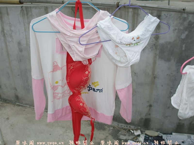 同好们有印象吧？