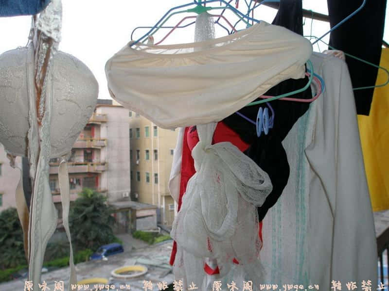 PB302524_调整大小_调整大小.JPG