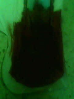 IMG0108A.jpg