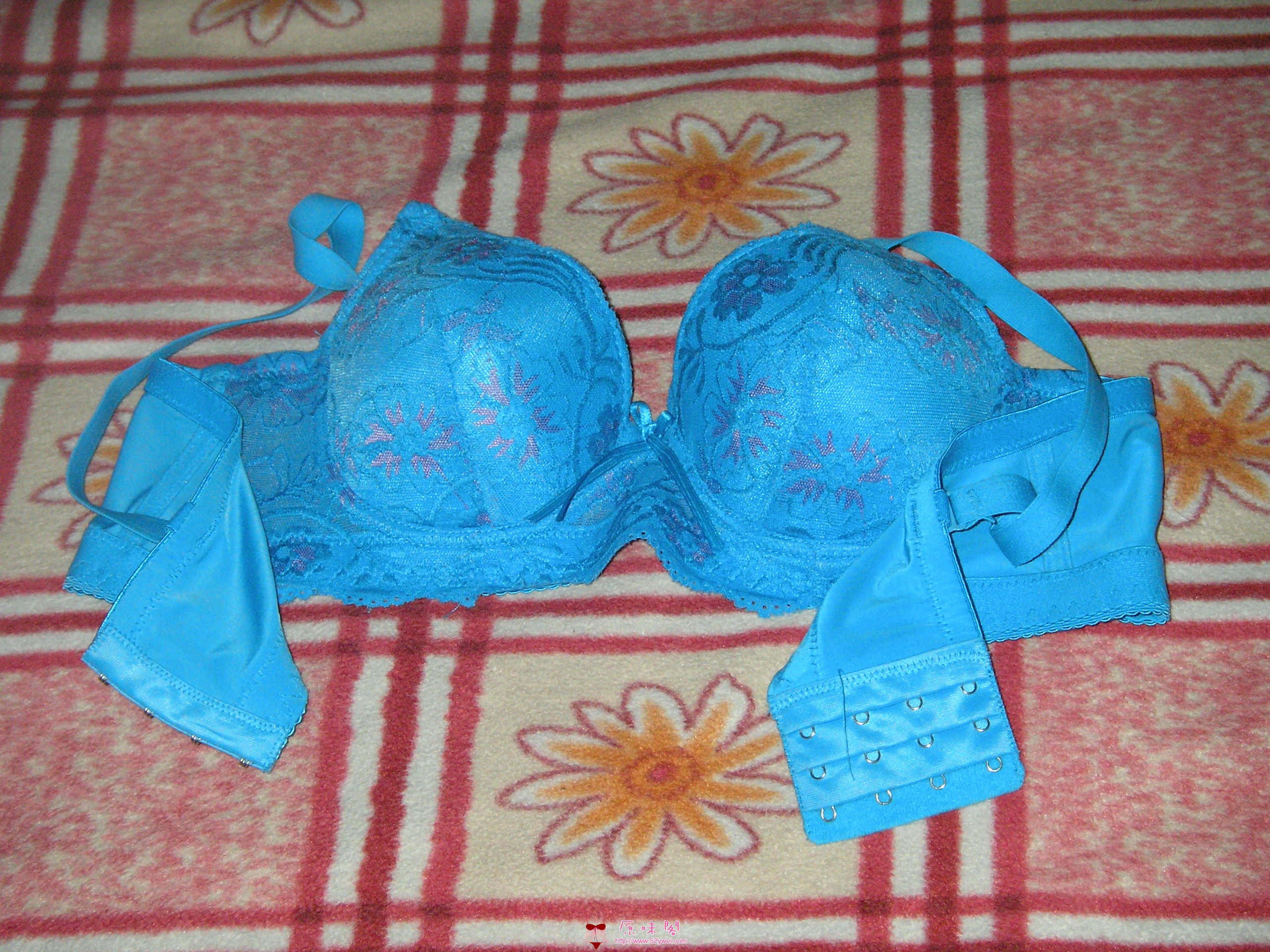 7024_1266647050Jero.jpg