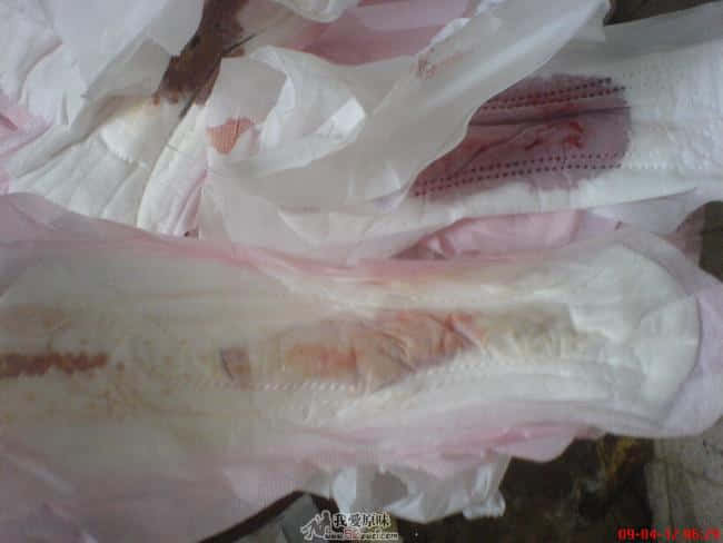 DSC00284.JPG