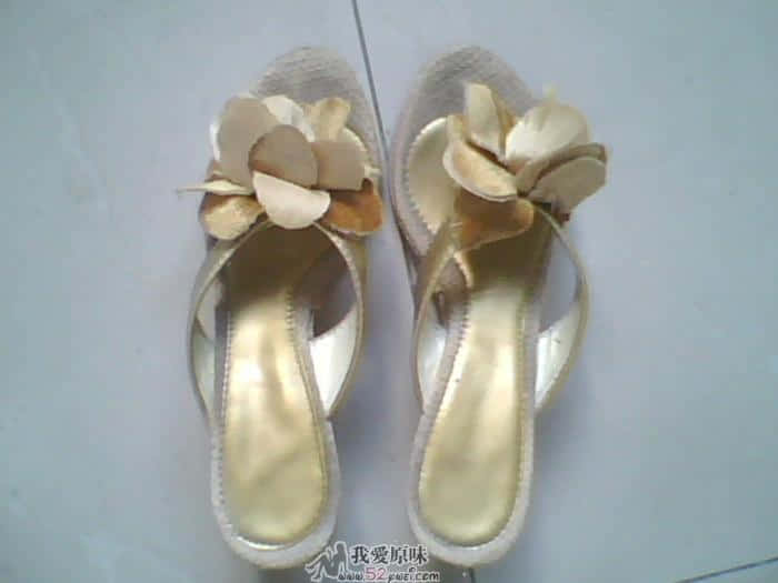IMG1239A.jpg