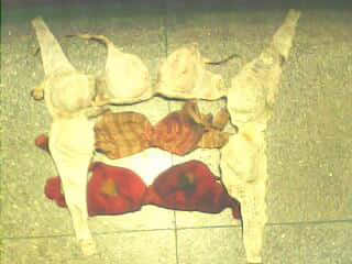 IMG0015A.jpg