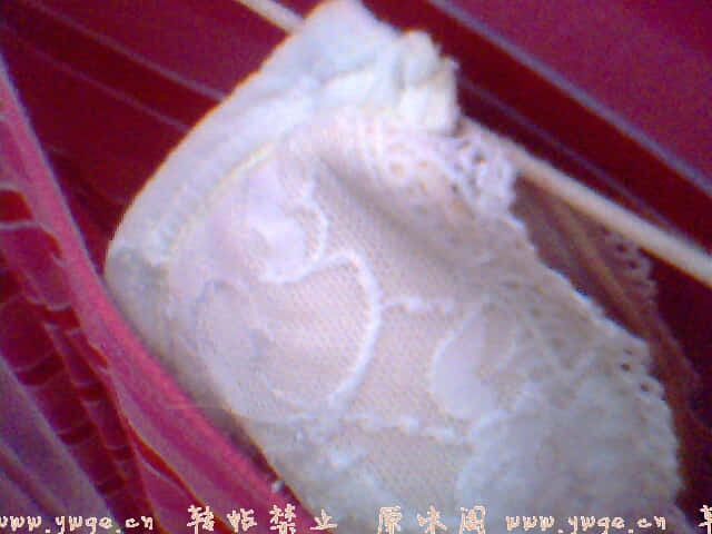 IMG0211A.jpg