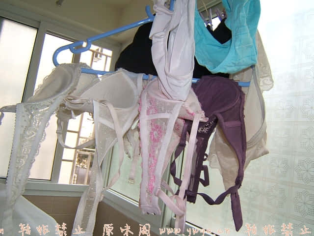 2196.jpg