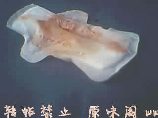 手机拍的原味巾巾